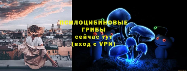 мдпв Верхний Тагил