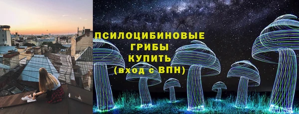 мдпв Верхний Тагил