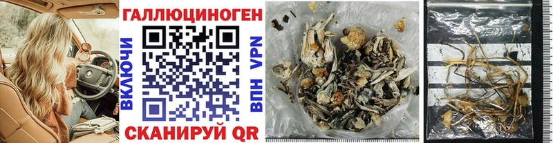 Купить  Георгиевск  Псилоцибиновые грибы Psilocybe 